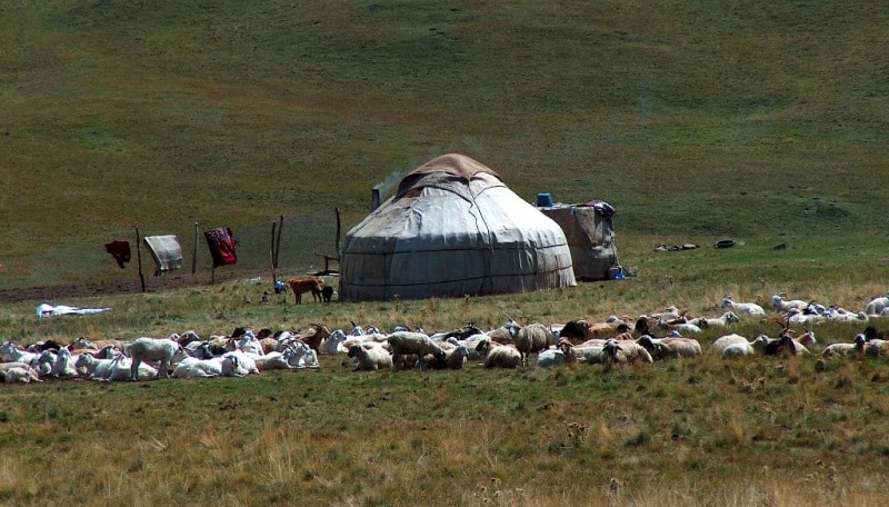 Yurt the nomad. Plateau Assy. Almaty of province.